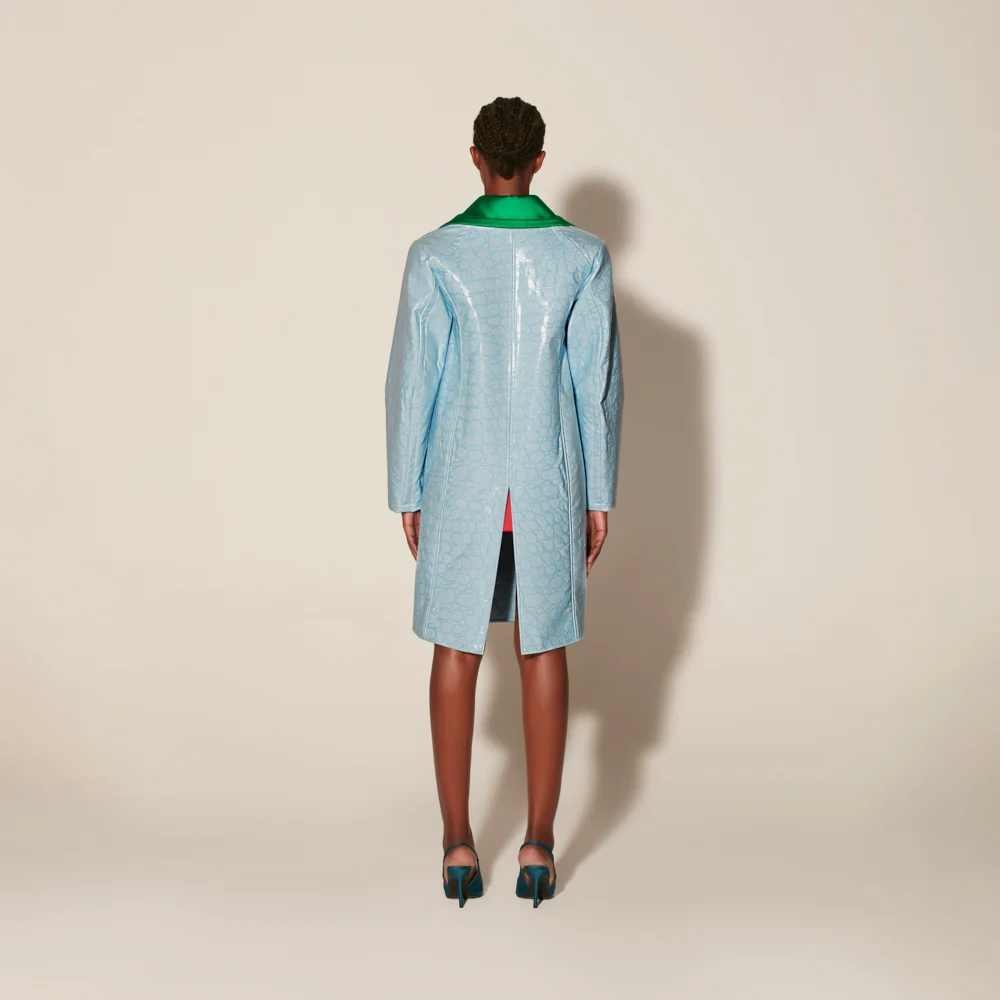 Blue Coat